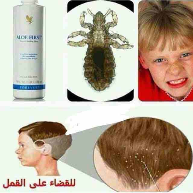 بيع منتجات طبيعية خالية من اي مواد تضر بالصحه بخلاصة الصبار مكملات عذائية تجميليه صحيه استخدامات شخصيه وكورسات التخسيس المشهوره كل ماهو مفيد لكي ولك 🥰😍